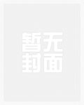 天龙人海贼王